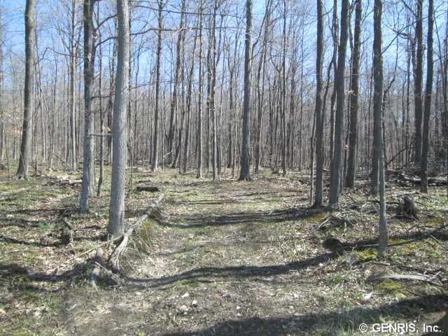 Land