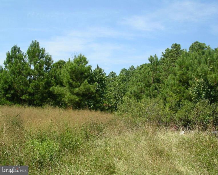 0 Andrews Rd unit 1001675975, Crapo, MD 21626 - photo 1