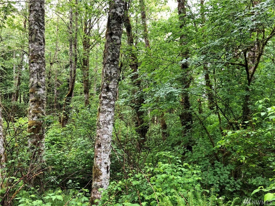 0 Orville Rd E unit 1602213, Orting, WA 98360 - photo 1