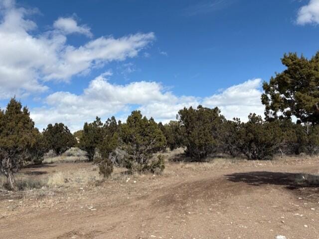 0 Parcel #01-0080-0026 unit 110250, Beaver, UT 84713 - photo 1