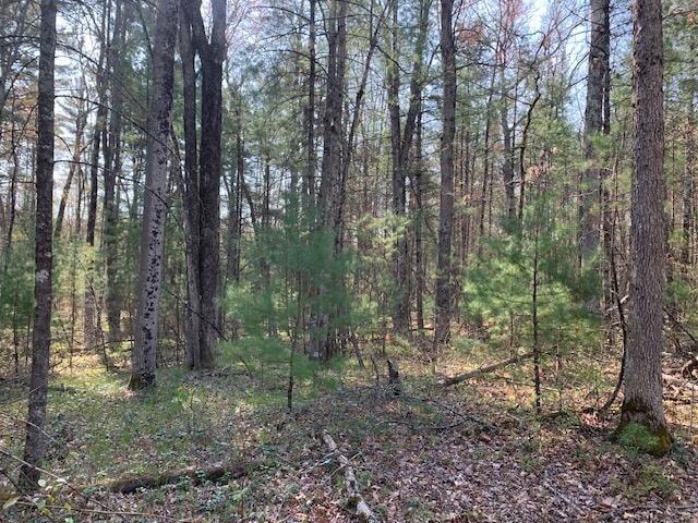 V/L S Rd, Baldwin, MI 49304 - photo 1