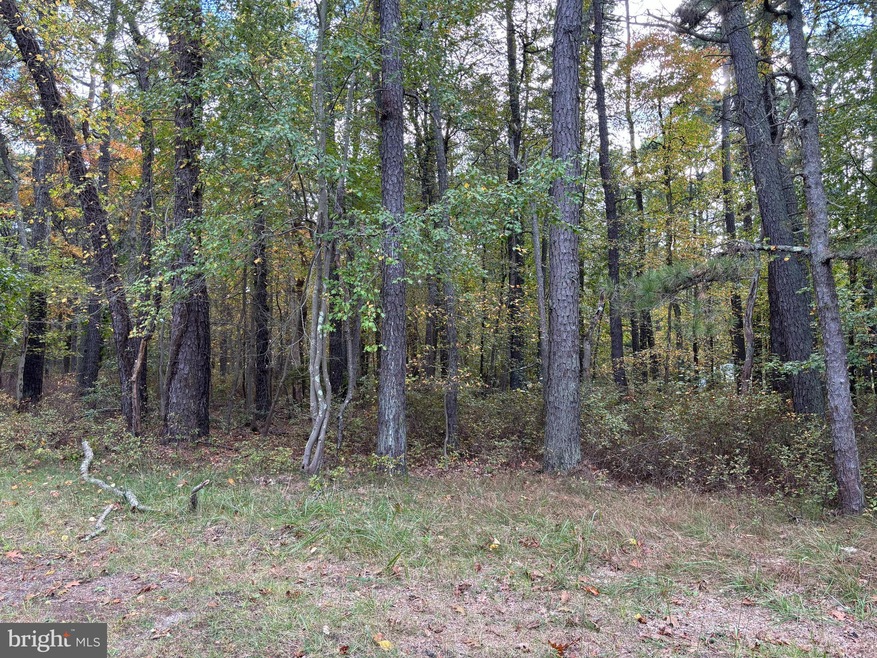 0 Warren Ave, Pemberton Township, NJ 08015 - photo 1