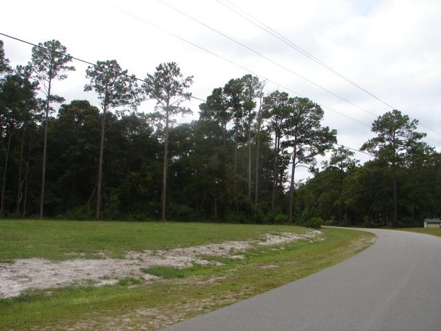 Primary Photo