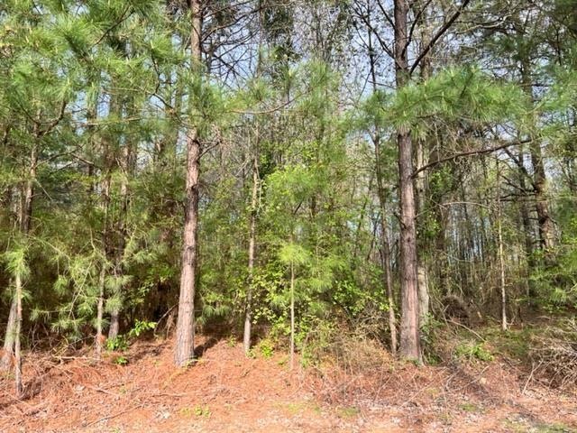 Lot 15 Heather Dr, Texarkana, TX 75501 - photo 1