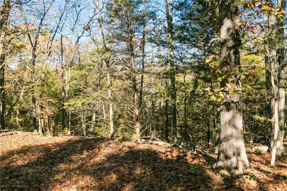 0 Nogales Rd unit 1031757, Elkins, AR 72727 - photo 1