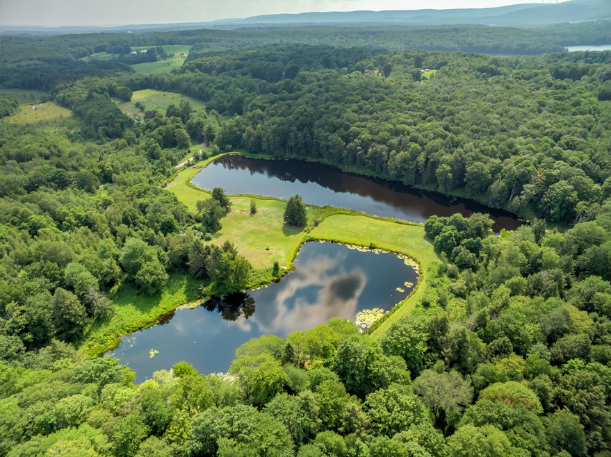 0 Savage Rd, Canaan Township, PA 18472 - photo 1