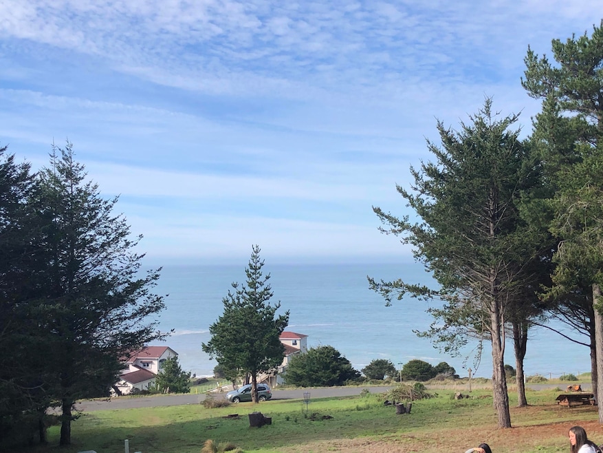 134 Albatross Rd, Whitethorn, CA 95589 - photo 1