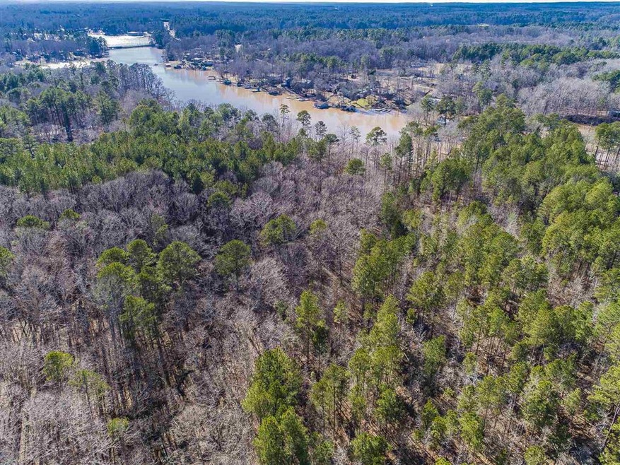 0 Twin Bridges Rd unit 58506, Eatonton, GA 31024 - photo 1