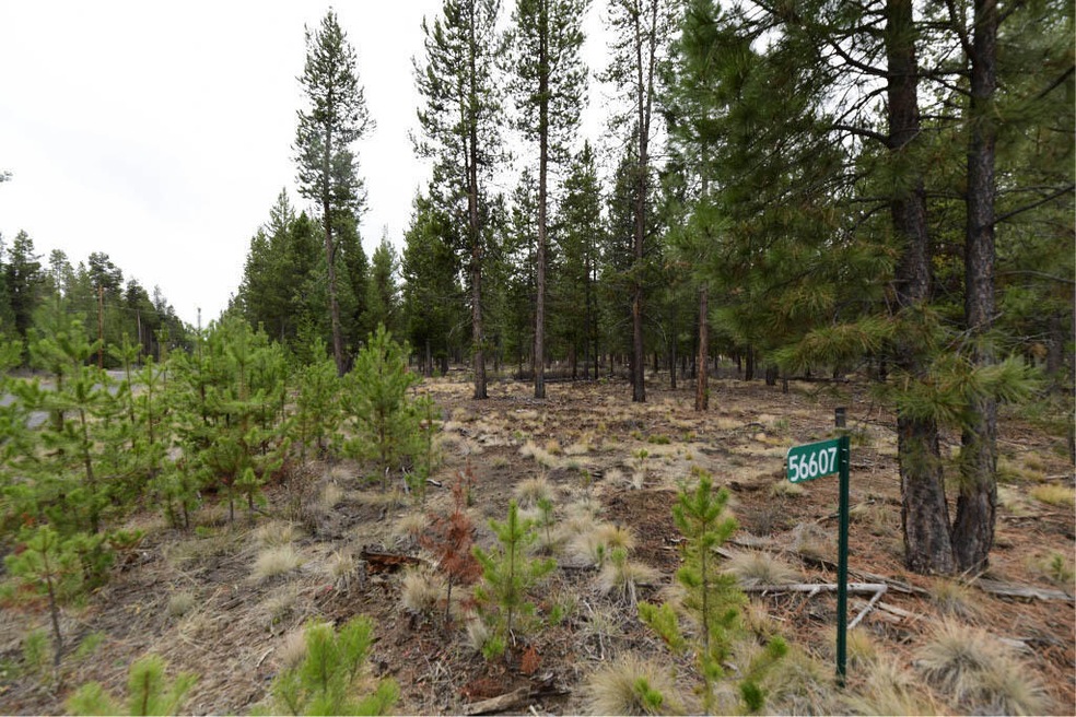 56607 Celestial Dr, Bend, OR 97707 - photo 1