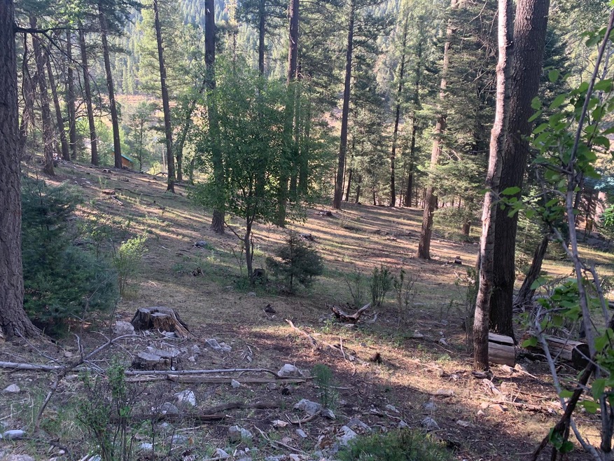 0 Canyon Trail unit 85 168237, Cloudcroft, NM 88317 - photo 1