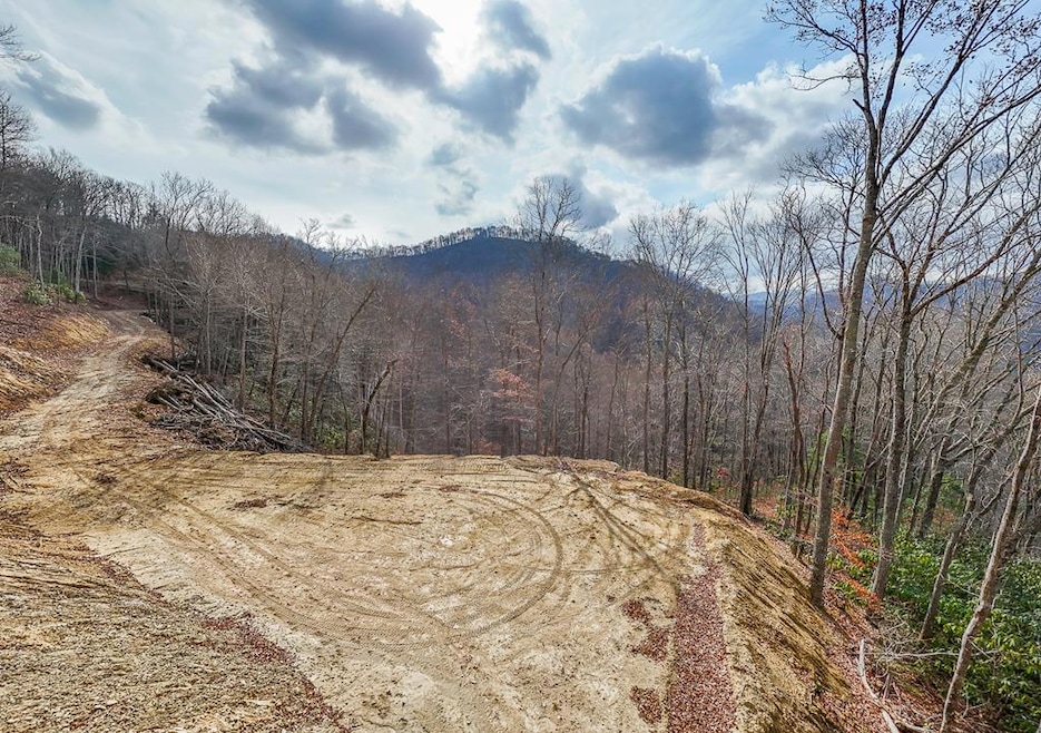 Lot 20 Walnut Cove Branch, Robbinsville, NC 28771 - photo 1