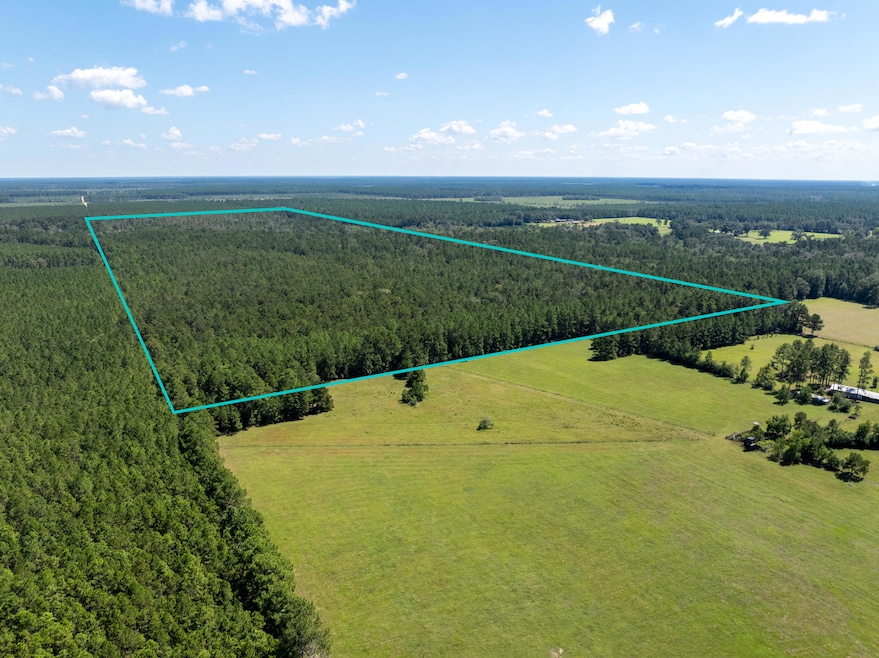 0 Beehive Loop, Singer, LA - photo 1