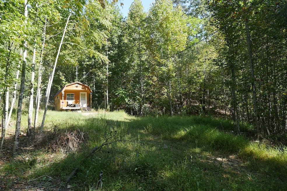 0 Hall Hollow Rd unit LotWP001 24773382, Austinville, VA 24312 - photo 1