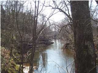 South Anna River View