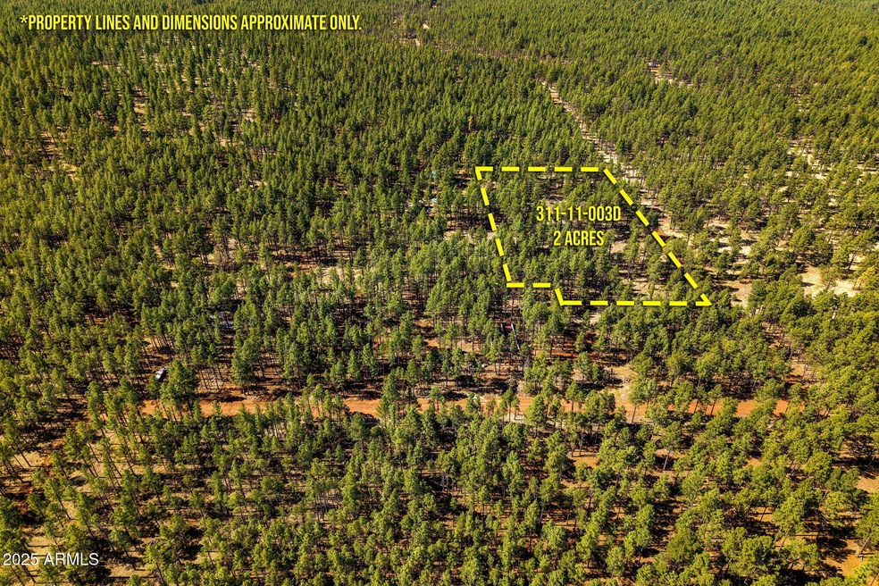 915BirdsongWay-Lakeside-AZ-ParcelLines-5