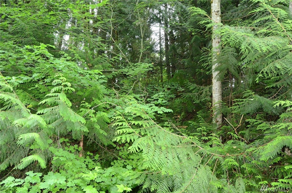 Sold $37,000 • Co-Listing Agent