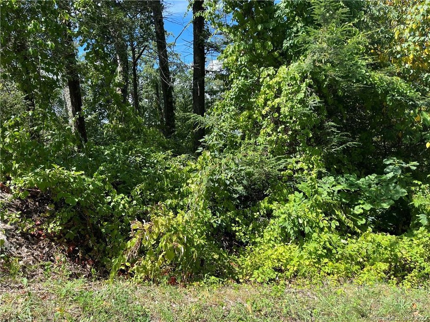 138 Green Pond Rd, Sherman, CT 06784 - photo 1