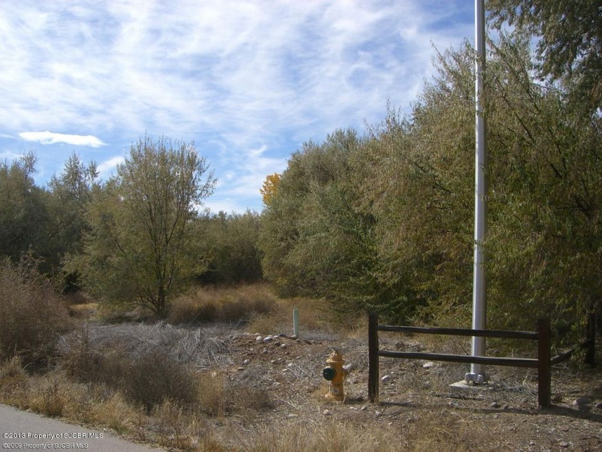 3911 Rancho de Animas Dr, Farmington, NM 87402 - photo 1