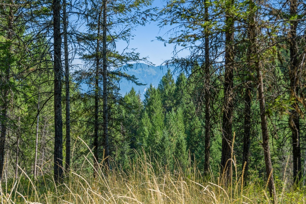 283 Belterra Ln, Big Fork, MT 59911 - photo 1