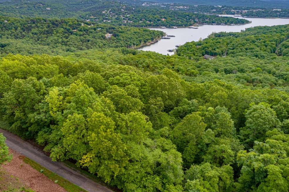 000 Plateau Ln, Kimberling City, MO 65686 - photo 1