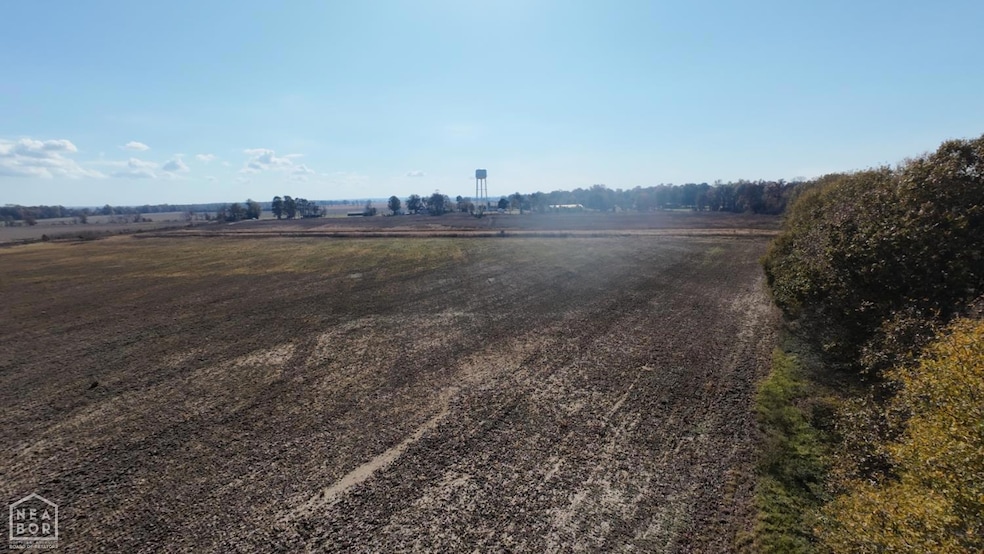 1262 Main St, Knobel, AR 72435 - photo 1