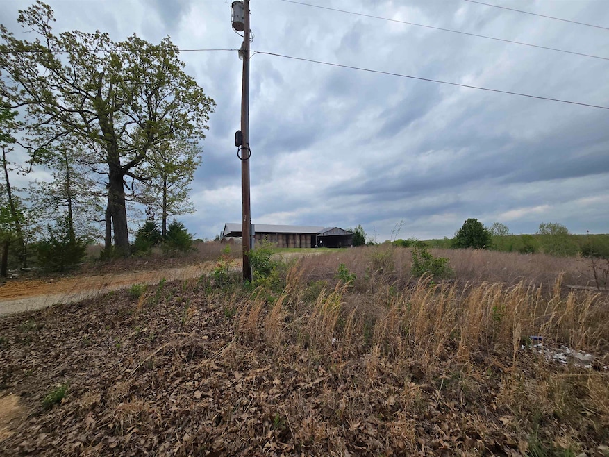 0 Moonlight Rd unit 25017074, Mammoth Spring, AR 72554 - photo 1