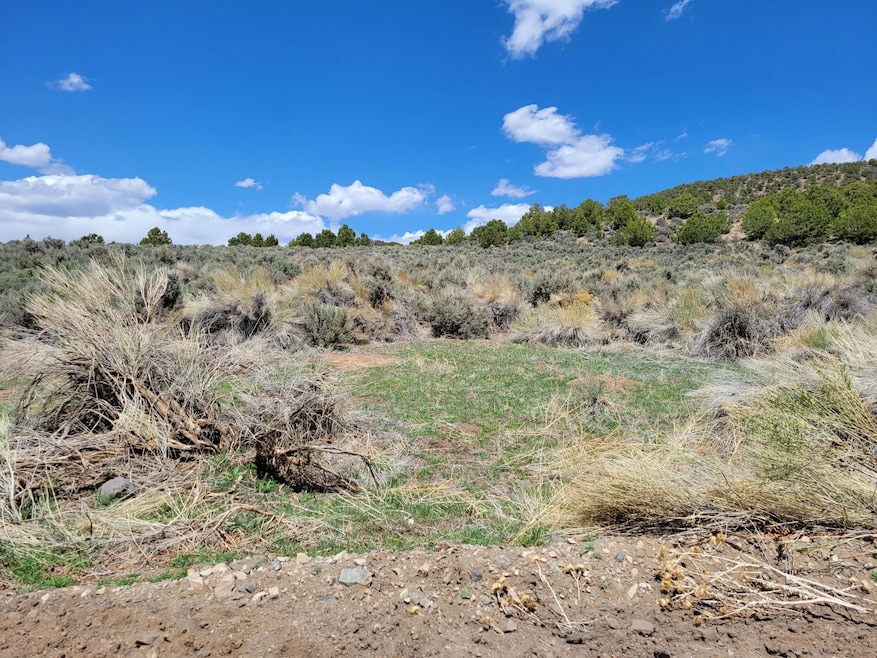 0 Michaels Rd unit 25558753, Fort Garland, CO 81133 - photo 1