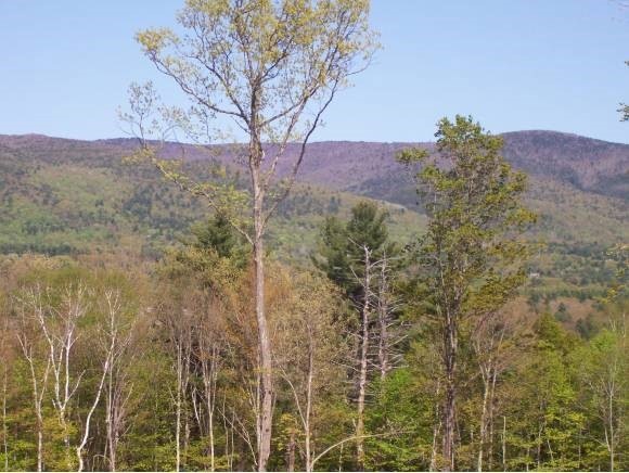 4.4 Field Stone Way, Moultonborough, NH 03254 - photo 1