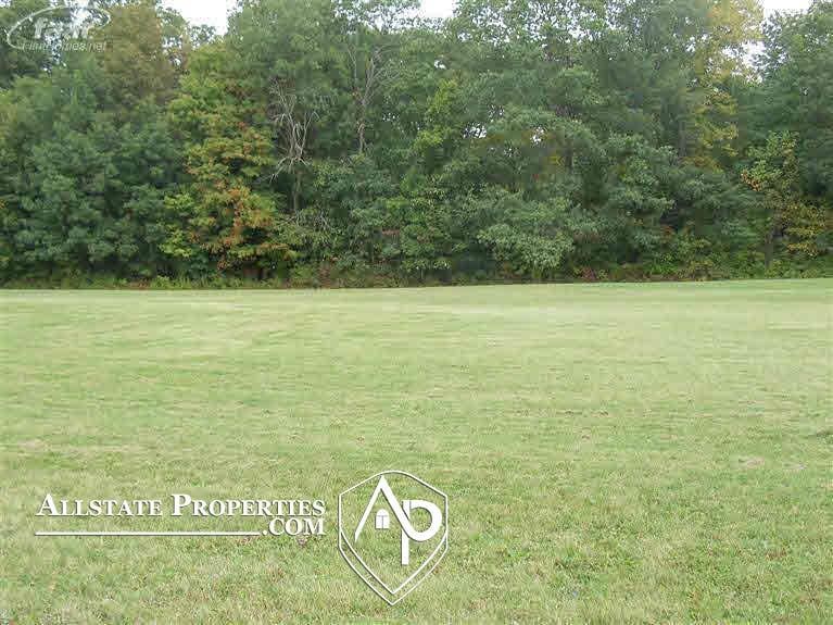 10425 Golfview Ct, Davison, MI 48423 - photo 1