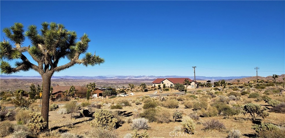 7900 Wesley Rd, Joshua Tree, CA 92252 - photo 1