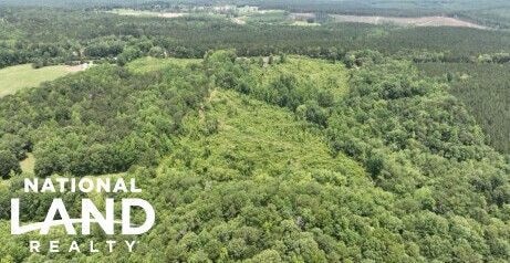 0 Lindsey Rd unit 25760188, Eclectic, AL 36024 - photo 1