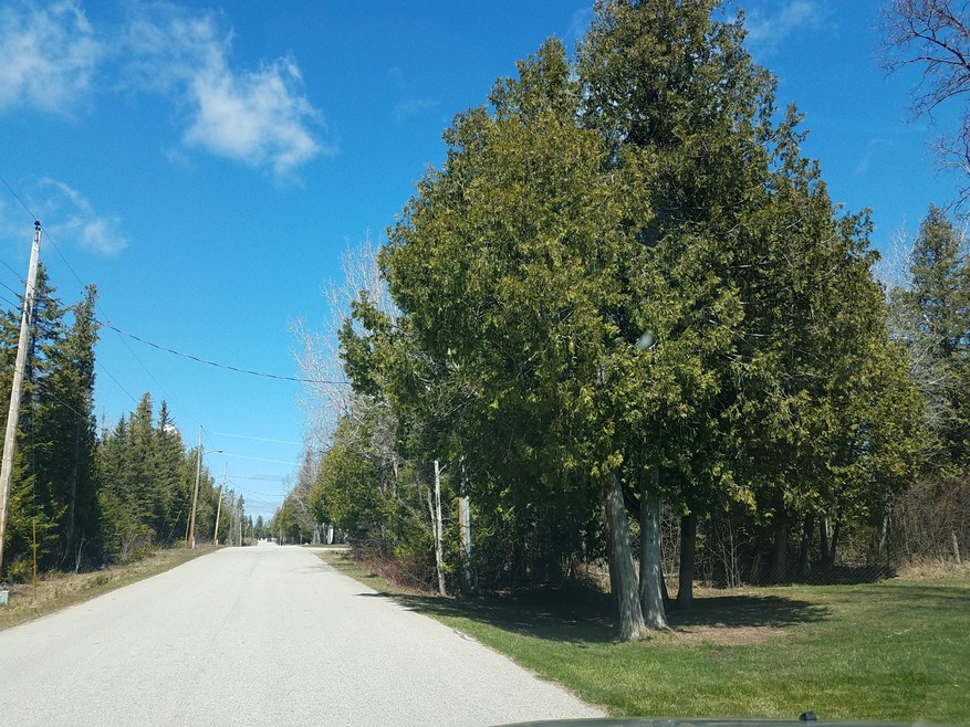 residential on West Rd