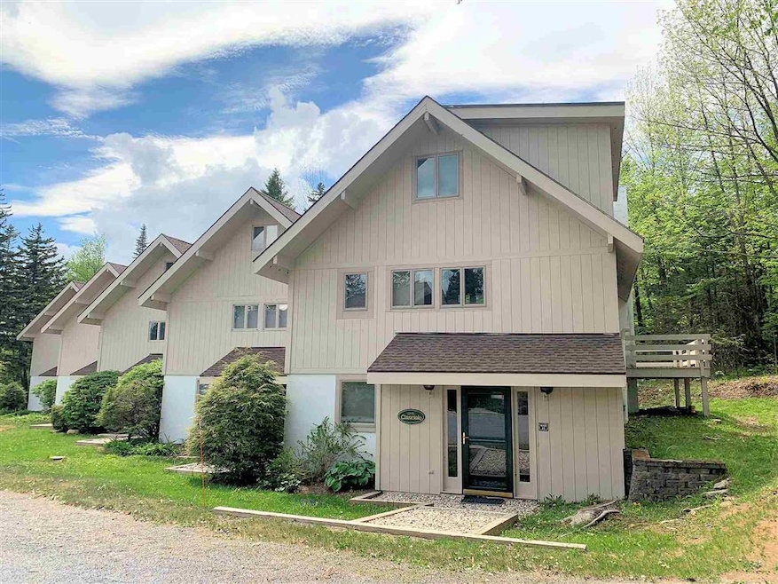 300 Sap Bucket Cir unit 3E, Peru, VT 05152 - photo 1