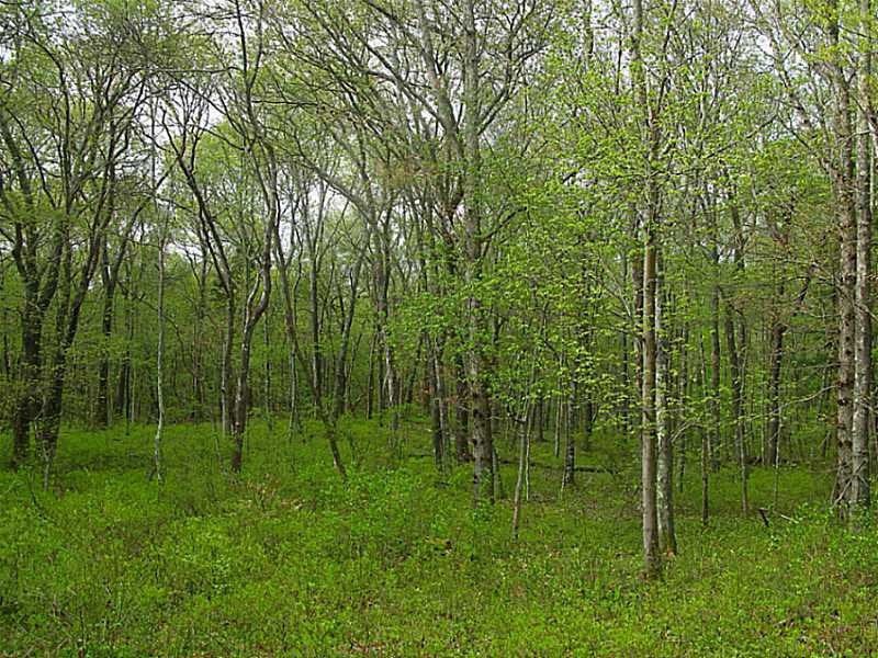 1490 Shermantown Rd, Saunderstown, RI 02874 - photo 1