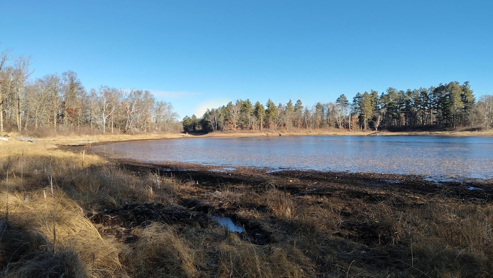 28515 Fool's Lake Dr, Two Inlets Township, MN 56470 - photo 1