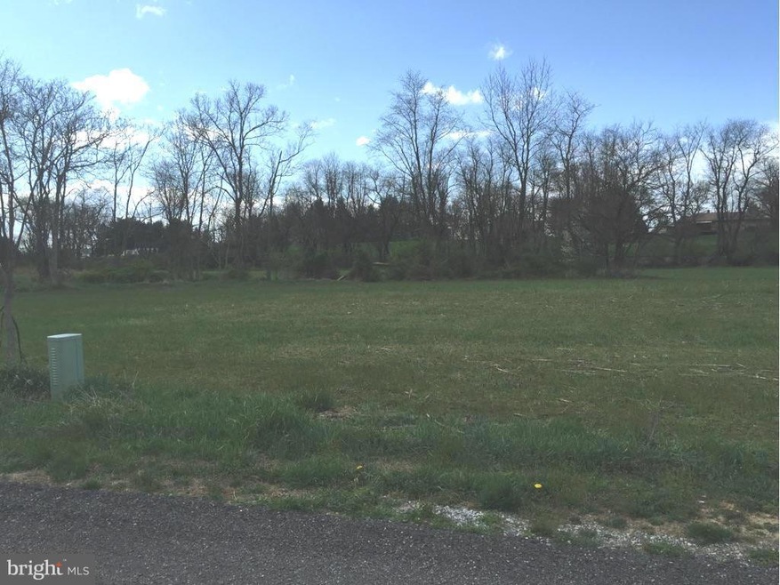 10418 Grandparents Grove Ln, Williamsport, MD 21795 - photo 1