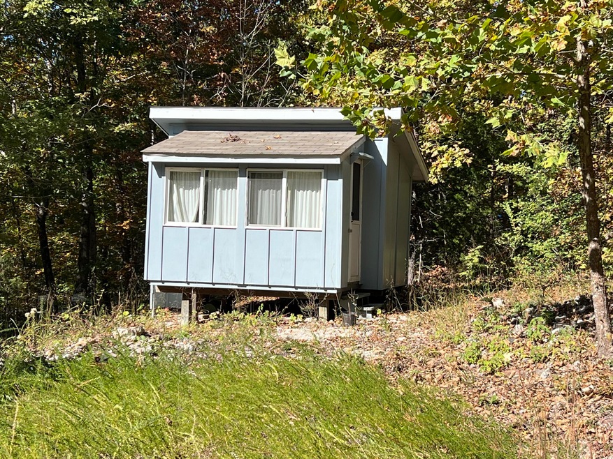 Cabin and Acreage in Mammoth Spring1