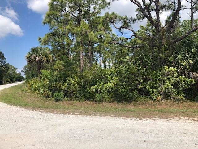 27262 Treadmill Dr, Punta Gorda, FL 33955 - photo 1