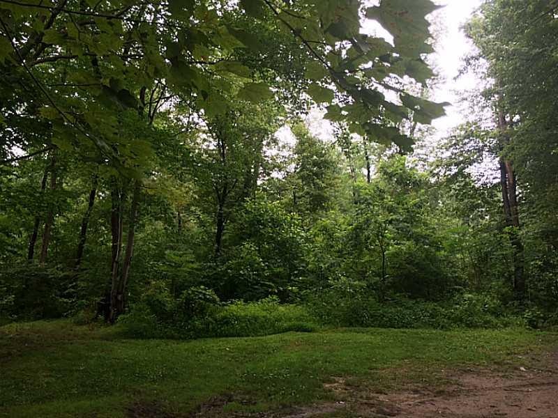 0 Carlisle St unit 1067030, Center Twp/Homer Cty, PA 15748 - photo 1