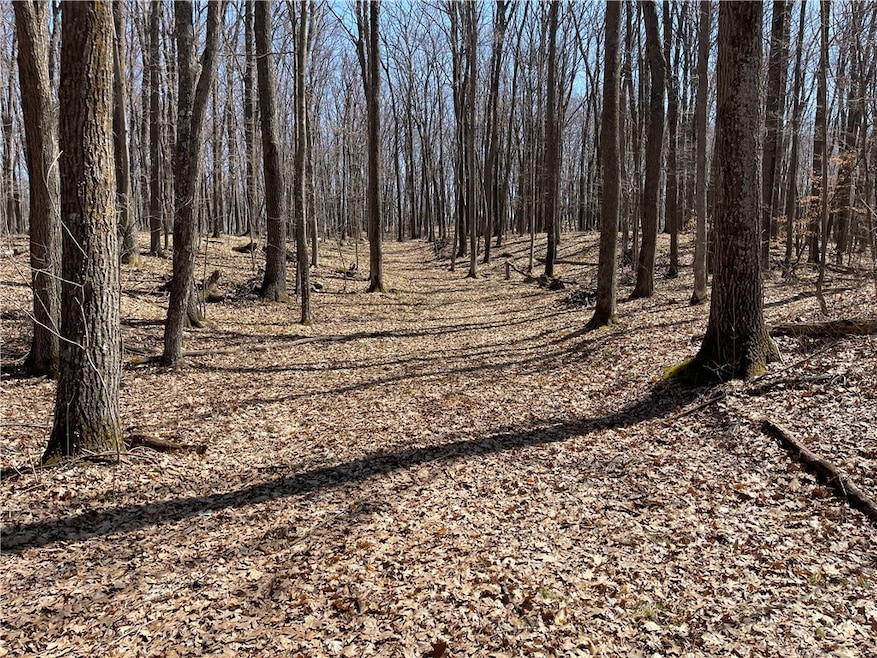 Driveway already cut