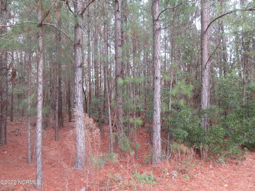 vacant land