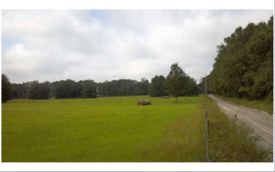 TBD 29th Rd, Branford, FL 32008 - photo 1