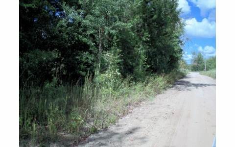 0 43rd Dr, Branford, FL 32008 - photo 1