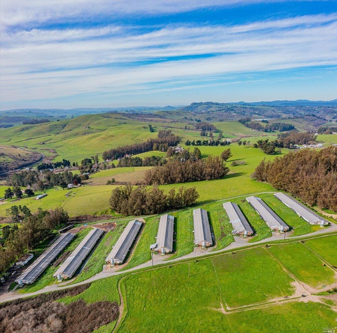 5900 Roblar Rd, Petaluma, CA 94952 - photo 1