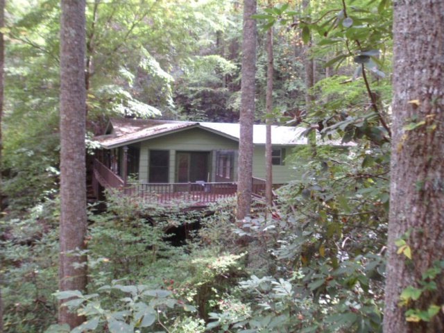 Main View