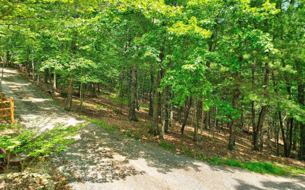 Lt33-34 Lt 33-34 Dogpatch Ln, Blue Ridge, GA 30513 - photo 1