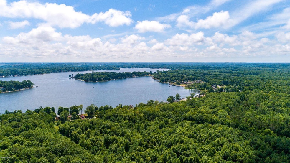 Paw Paw Lake Aerial 2