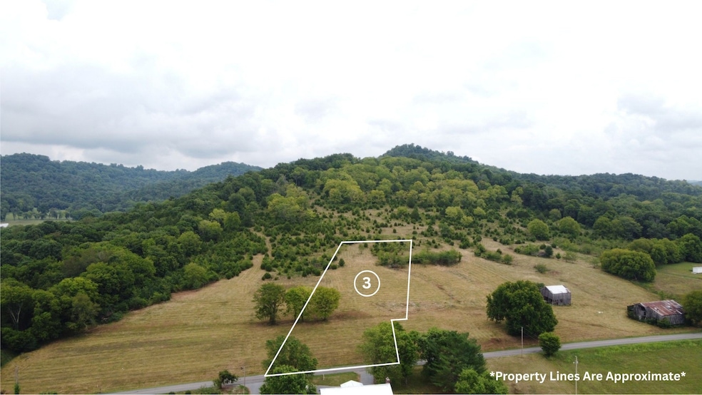 0 Smith Bend Ln unit RTC2958013, Gainesboro, TN 38562 - photo 1