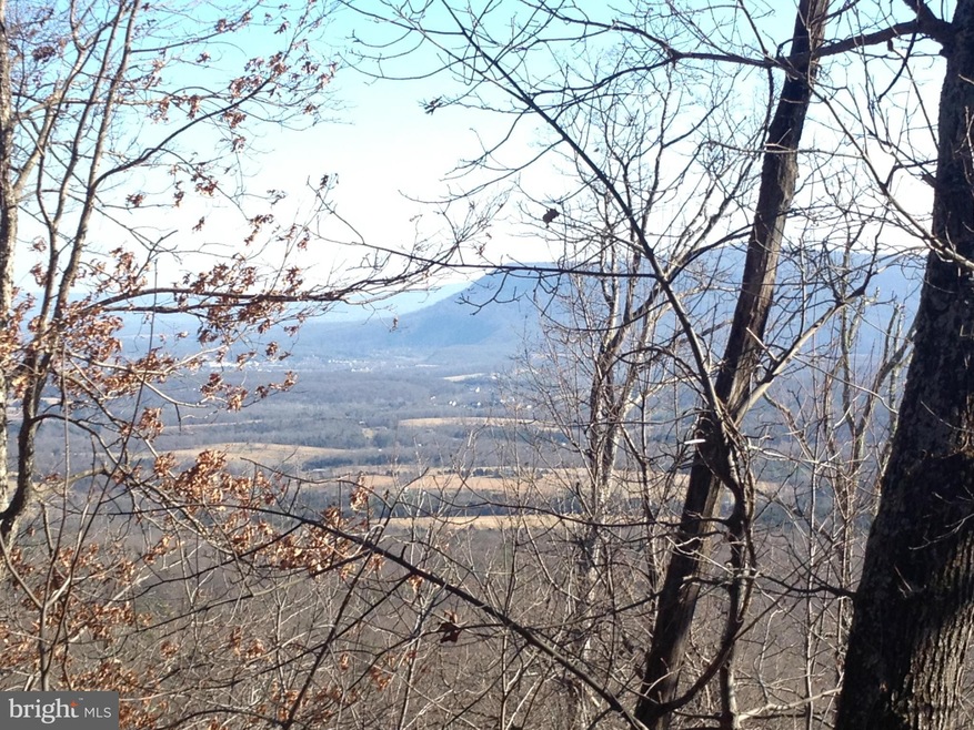 0 Battlefield Rd unit 1002812898, Strasburg, VA 22657 - photo 1