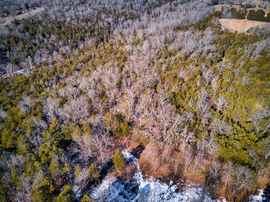11_DJI_0580__sRGB
